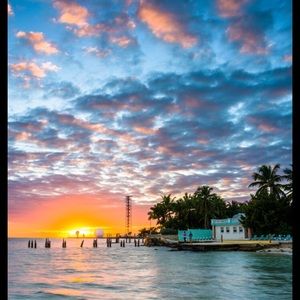 Meet your Posher, Ashlynn